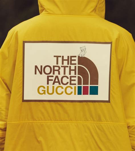 north face x gucci